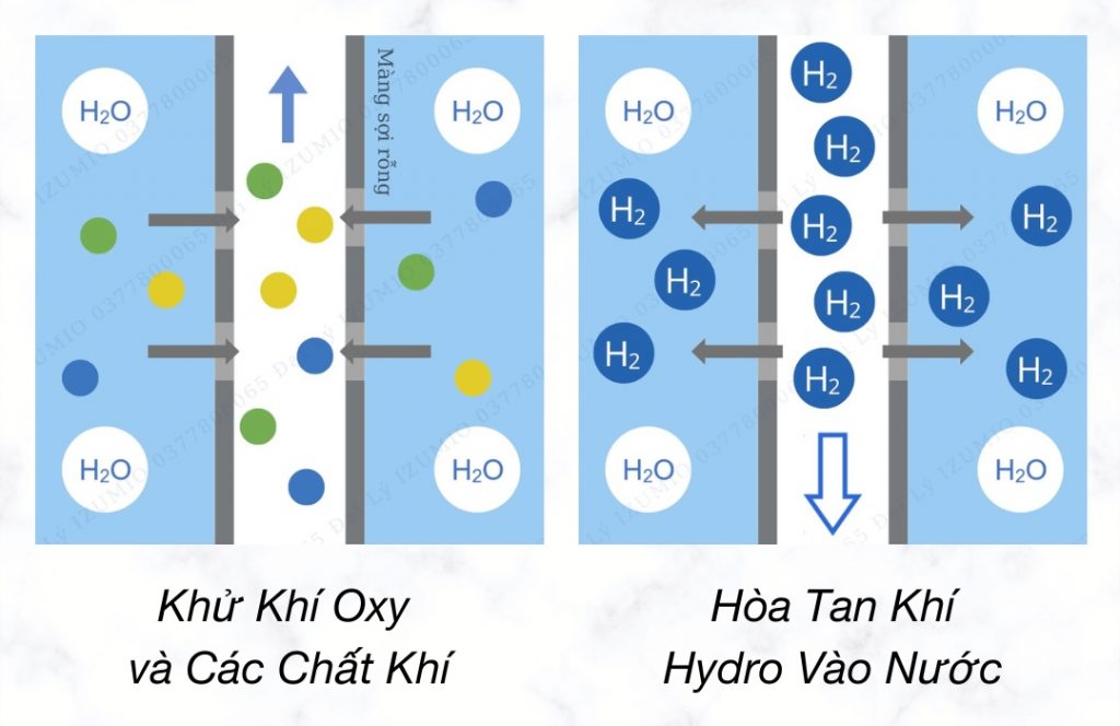 Quy Trình Sản Xuất Nước IZUMIO