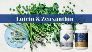 Lutein và Zeaxanthin