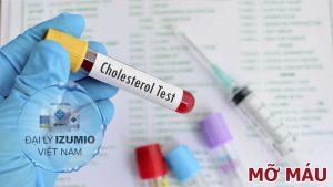 Máu nhiễm mỡ là gì