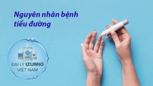 Nguyên nhân bệnh tiểu đường