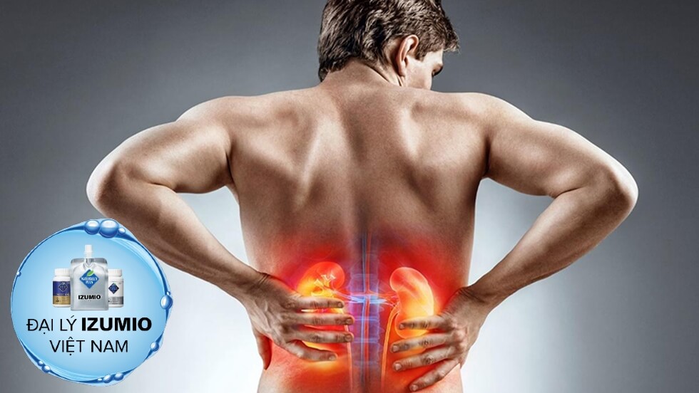 Nguyên nhân và biểu hiện hội chứng thận hư