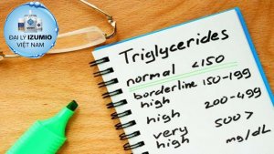 Triglyceride
