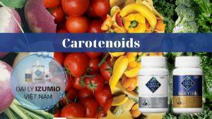 Carotenoids