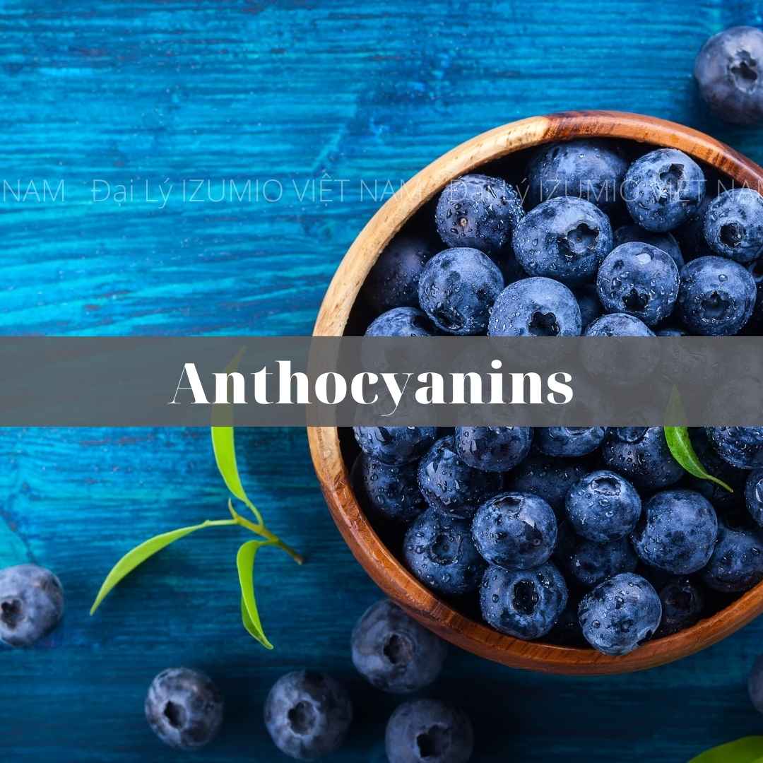 Anthocyanins trong cây nham lê