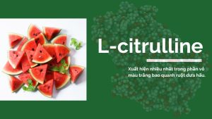 Những điều cần biết về L-citrulline