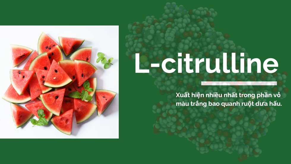 Những điều cần biết về L-citrulline