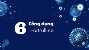 6 công dụng mà L-Citrulline mang đến cho sức khỏe con người